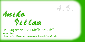 aniko villam business card